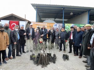 Yunusemre Belediyesinden Üreticilere Fidan Ve Kovan Desteği