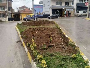 Yalova Taşköprü’de Saat Kulesi İçin Ağaç Kesilmesine Tepki