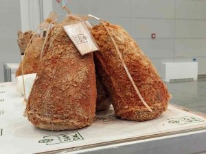 Peynir Ve Zeytin Festivalinde Uygun Fiyatlar Cezbediyor