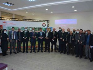 Çiftçiye Zeytin Fidanı Dağıtıldı