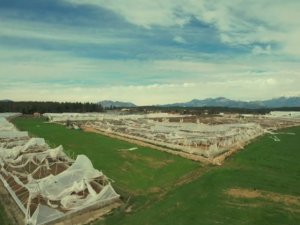 Antalya’yı Vuran Hortumun Seralara Verdiği Hasar Havadan Görüntülendi