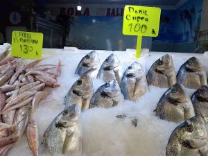 Sert Hava Koşulları Balık Fiyatlarını Yükseltti