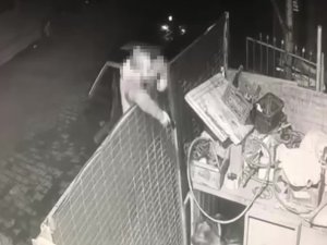 Köpeğe Önce Ateş Etti, Sonra Değnek Fırlatarak Eziyet Etti