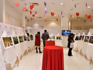 Büyükşehir Belediyesinin 8 Mart Dünya Emekçi Kadınlar Günü Etkinlikleri Başladı