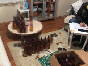 İ̇stanbul Merkezli 3 İlde Tefeci Operasyonu: 8 Şüpheli Yakalandı