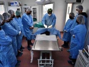 Öğrencilere Uygulamalı Veterinerlik Eğitimi