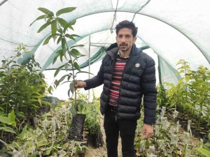 Dededen Toruna Fidan Üretiyorlar