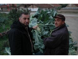 Ziraat Odası Başkanı Sadi Aktaş: