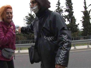 Ataşehir’de Otomobiliyle Kediye Çarpan Sürücü Gözyaşlarına Boğuldu
