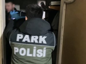 İ̇stanbul’da Nefes Kesen Uyuşturucu Operasyonu: Gitardan Esrar, Yem Çuvalından Silah Çıktı