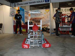 Frc’de Dostek Rüzgarı