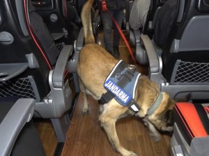 Narkotik Köpeği ’Tepe’ Uyuşturucu Madde Buldu