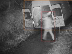 Ormandan Kaçak Tomruk Kesen Kişi Fotokapana Yakalandı