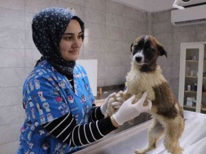 Bolu’daki Görüntülere Başkan Özlü Duyarsız Kalmadı