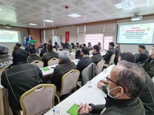 Kanun Dışı Müdahaleler Ormanların Tahribine Yol Açıyor