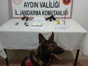 Jandarma Ekiplerinden Uyuşturucu Operasyonu