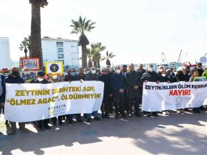 Ayvalık’ta “Zeytin Ağacı” Eylemi