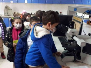 Profesör Satıl’dan Minik Öğrencilere Biyoloji Dersi