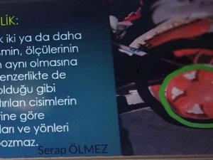 Anadolu Lisesi’nde, "Matematik Her Yerde” İsimli Sanal Fotoğraf Sergisi