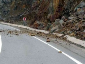 Sürücünün Dikkati Faciayı Engelledi