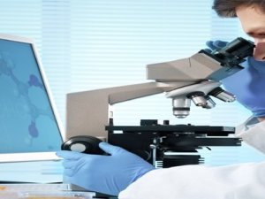 Tübi̇tak 53. Lise Öğrencileri Araştırma Projeleri Yarışmalarına Aydın Damga Vurdu