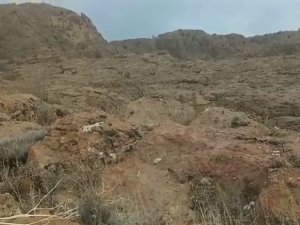 Elazığ’da Koruma Altındaki Dağ Keçileri Sürü Halinde Görüntülendi