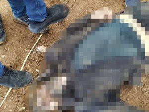 Polisi Şehit Eden Zanlı Etkisiz Hale Getirildi