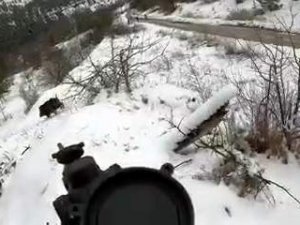 Yiyecek Arayan Tilkiyi Yemeğe Davet Etti