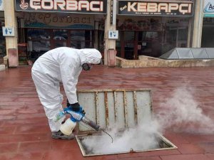 Ürgüp Belediyesinden Haşerelere Karşı Kışlak Mücadelesi