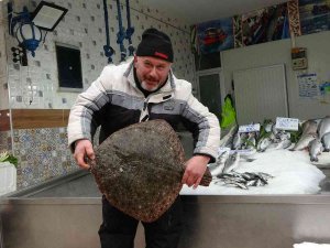 5 Kiloluk Kalkan Balığı 3 Bin Liraya Satıldı