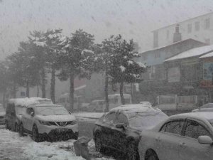 Tatvan’da Kar Yağışı