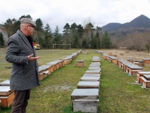 Elevli "Tarımda Rekolte Ve Randıman İçin Arıcılık Desteklenmeli"