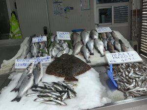 Karadeniz’de Balık Azlığı, Tezgâhlara Yansıdı