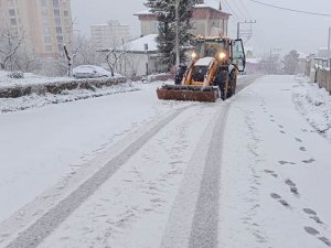 Ordu’da Karla Mücadele Sürüyor