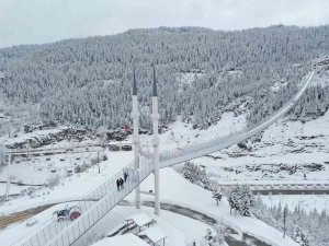 Yaz Aylarında Ziyaretçi Akınına Uğrayan Asma Köprü Çöktü