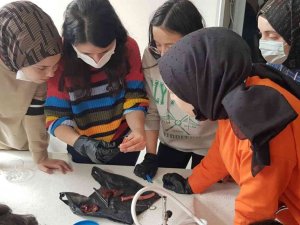 Lise Öğrencileri Kaz Kalbi Üzerinde Deney Yaptılar