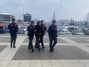 Bolu’da 30 Yıl Hapis Cezası Bulunan Firari Şahıs Yakalandı
