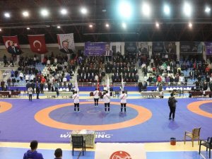 Serbest Güreş Türkiye Şampiyonası, Tokat’ta Başladı