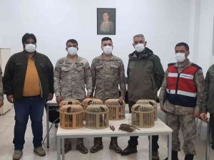 Sarıkamış’ta Kaçak Avcıya Ceza Yağdı