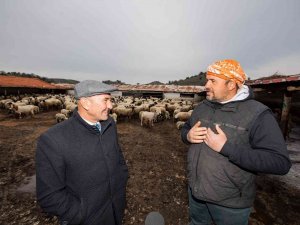 Mera İ̇zmir İle 535 Çobana Ulaşıldı