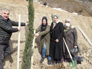 Yeni Yusufeli Kadınların Eliyle Yeşilleniyor