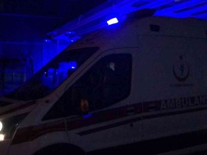 Köy Muhtarının ’Defne’ Tartışması Kanlı Bitti