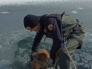 İ̇tfaiye Ekipleri Buz Tutan Gölete Düşen Köpeği Donmak Üzereyken Kurtardılar