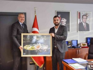 Karacabey’in Aromatik Bitki Potansiyeli Çok Yüksek