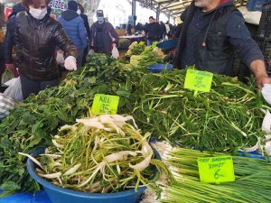 Ege’nin Otları Şifa Deposu