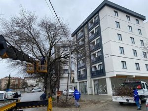 Kar Yağışından Etkilenen Ağaçlara Kartal Belediyesi Ekiplerinden Anında Müdahale