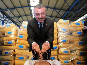 Ayçiçeği Üreticilerine Gübre Desteği Verilecek