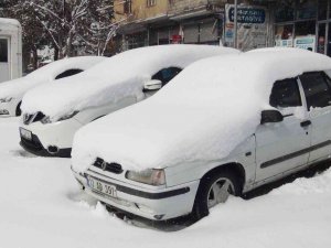 Ahlat’ta Yoğun Kar Yağışı