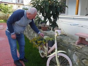Balıkesir’de Çiçek Hırsızı Kadın, Güvenlik Kamerasına Yakalandı