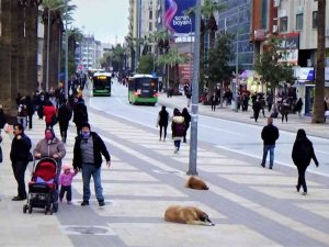Denizli’de Uzun Aradan Sonra Vaka Sayısında İl Defa Düşüş Yaşandı